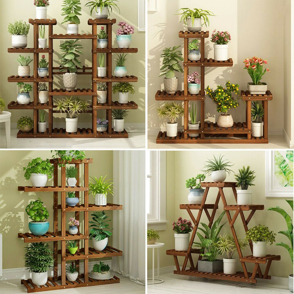 pot plants